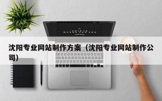 临清沈阳专业网站制作方案（沈阳专业网站制作公司）